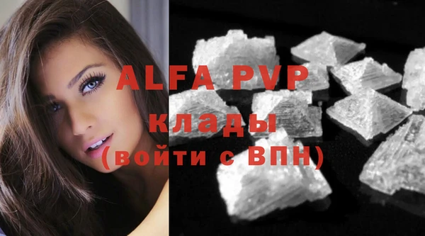 прущая мука Богданович