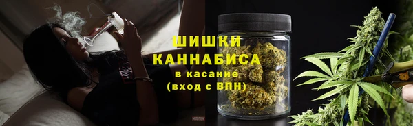 трава Медвежьегорск