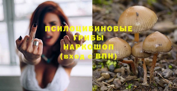 синтетический гашиш Богородицк