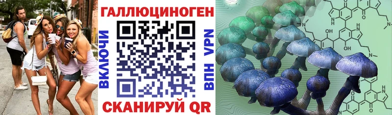 Псилоцибиновые грибы Psilocybe  Мезень 
